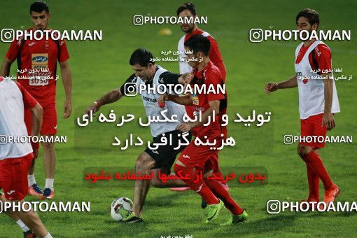 929330, Tehran, , Persepolis Football Team Training Session on 2017/11/10 at Shahid Kazemi Stadium