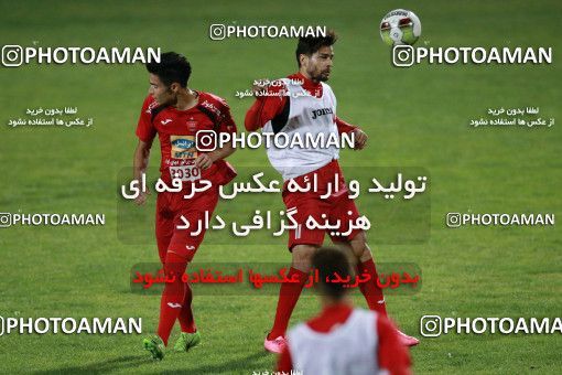 929271, Tehran, , Persepolis Football Team Training Session on 2017/11/10 at Shahid Kazemi Stadium