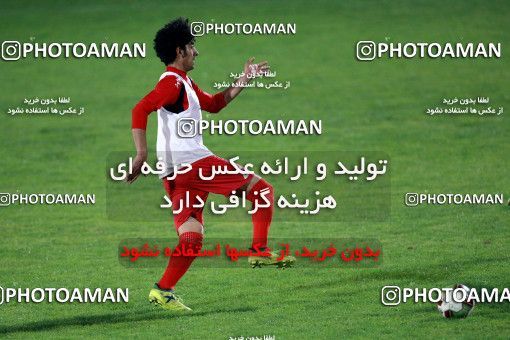 929210, Tehran, , Persepolis Football Team Training Session on 2017/11/10 at Shahid Kazemi Stadium
