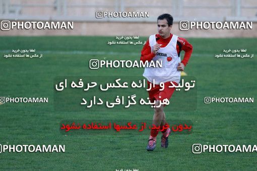 929184, Tehran, , Persepolis Football Team Training Session on 2017/11/10 at Shahid Kazemi Stadium