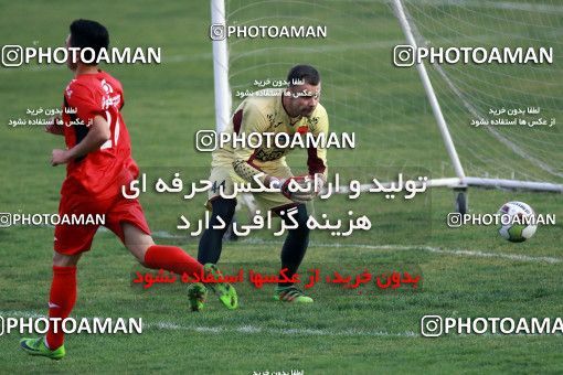 929291, Tehran, , Persepolis Football Team Training Session on 2017/11/10 at Shahid Kazemi Stadium