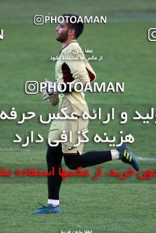 929379, Tehran, , Persepolis Football Team Training Session on 2017/11/10 at Shahid Kazemi Stadium