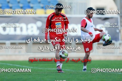 925089, Tehran, , Persepolis Football Team Training Session on 2017/11/10 at Shahid Kazemi Stadium