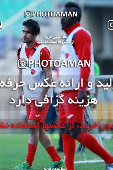925023, Tehran, , Persepolis Football Team Training Session on 2017/11/10 at Shahid Kazemi Stadium