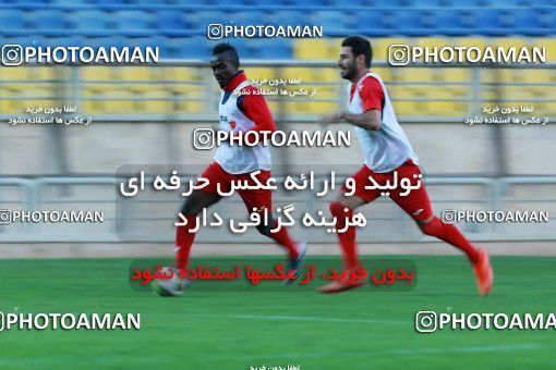 924908, Tehran, , Persepolis Football Team Training Session on 2017/11/10 at Shahid Kazemi Stadium
