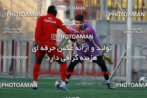 934727, Tehran, , Persepolis Football Team Training Session on 2017/11/13 at Shahid Kazemi Stadium