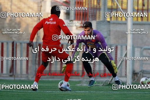 934737, Tehran, , Persepolis Football Team Training Session on 2017/11/13 at Shahid Kazemi Stadium
