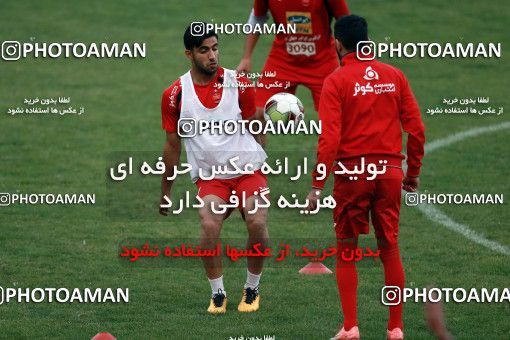937575, Tehran, , Persepolis Football Team Training Session on 2017/11/11 at Shahid Kazemi Stadium