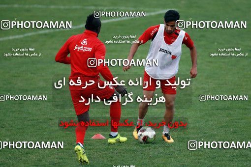 937342, Tehran, , Persepolis Football Team Training Session on 2017/11/11 at Shahid Kazemi Stadium