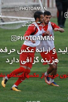 937477, Tehran, , Persepolis Football Team Training Session on 2017/11/11 at Shahid Kazemi Stadium