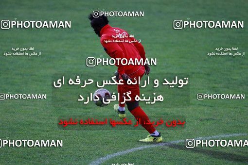 937289, Tehran, , Persepolis Football Team Training Session on 2017/11/11 at Shahid Kazemi Stadium