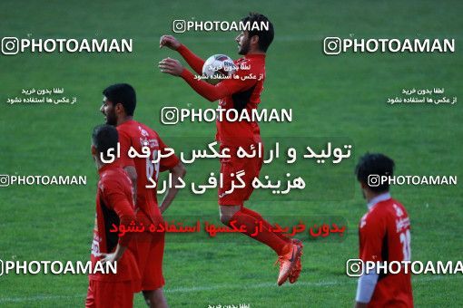 937666, Tehran, , Persepolis Football Team Training Session on 2017/11/11 at Shahid Kazemi Stadium