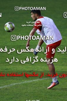 937541, Tehran, , Persepolis Football Team Training Session on 2017/11/11 at Shahid Kazemi Stadium