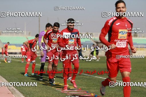 938462, Tehran, , Persepolis Football Team Training Session on 2017/11/16 at Shahid Kazemi Stadium