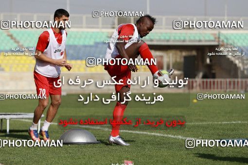 938105, Tehran, , Persepolis Football Team Training Session on 2017/11/16 at Shahid Kazemi Stadium
