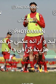 937793, Tehran, , Persepolis Football Team Training Session on 2017/11/16 at Shahid Kazemi Stadium