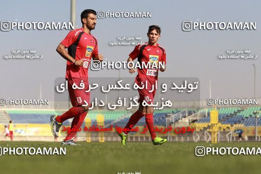 938130, Tehran, , Persepolis Football Team Training Session on 2017/11/16 at Shahid Kazemi Stadium