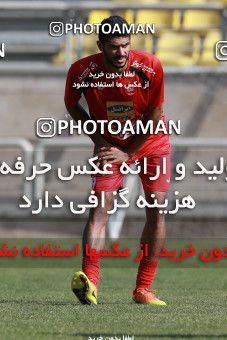 937865, Tehran, , Persepolis Football Team Training Session on 2017/11/16 at Shahid Kazemi Stadium