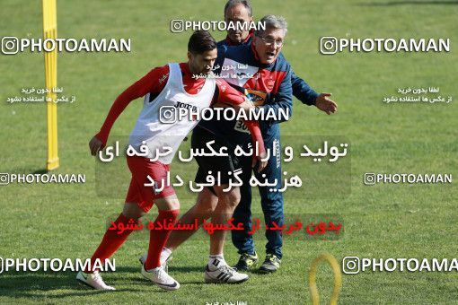938156, Tehran, , Persepolis Football Team Training Session on 2017/11/16 at Shahid Kazemi Stadium