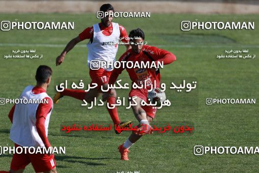 938549, Tehran, , Persepolis Football Team Training Session on 2017/11/16 at Shahid Kazemi Stadium