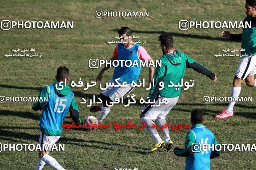 992658, Tehran, [*parameter:4*], لیگ برتر فوتبال ایران، Persian Gulf Cup، Week 13، First Leg، Saipa 1 v 0 Siah Jamegan on 2017/11/25 at Shahid Dastgerdi Stadium