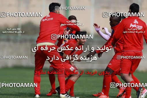 949551, Tehran, , Persepolis Football Team Training Session on 2017/11/22 at 