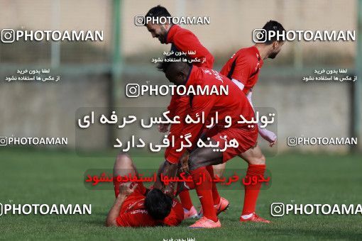 949547, Tehran, , Persepolis Football Team Training Session on 2017/11/22 at 