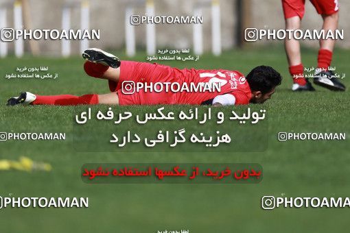 949245, Tehran, , Persepolis Football Team Training Session on 2017/11/22 at 