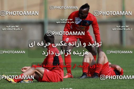 949337, Tehran, , Persepolis Football Team Training Session on 2017/11/22 at 