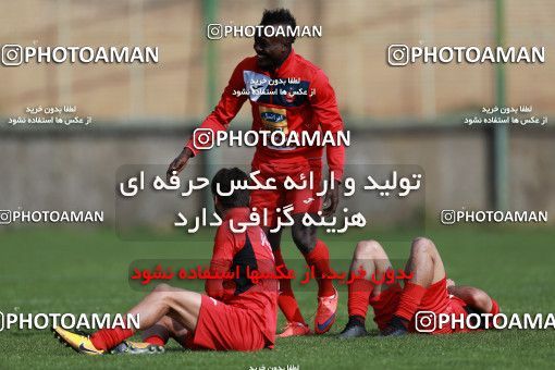 949408, Tehran, , Persepolis Football Team Training Session on 2017/11/22 at 