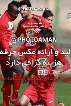 948937, Tehran, , Persepolis Football Team Training Session on 2017/11/22 at 