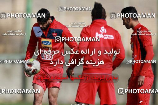 949304, Tehran, , Persepolis Football Team Training Session on 2017/11/22 at 