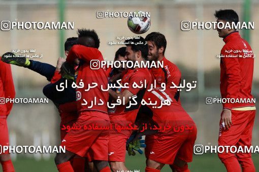 949034, Tehran, , Persepolis Football Team Training Session on 2017/11/22 at 