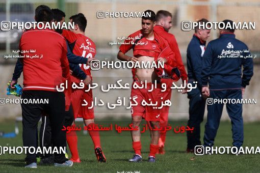 949137, Tehran, , Persepolis Football Team Training Session on 2017/11/22 at 