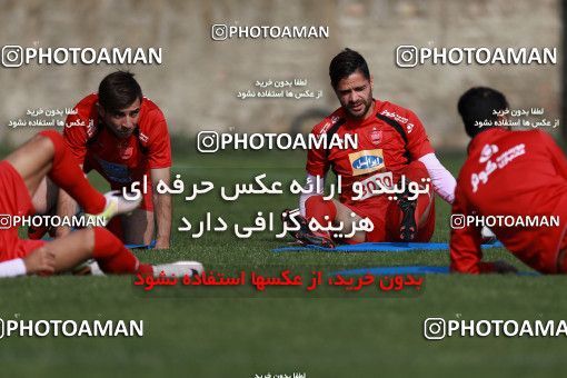 949523, Tehran, , Persepolis Football Team Training Session on 2017/11/22 at 