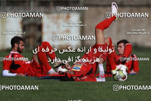 949253, Tehran, , Persepolis Football Team Training Session on 2017/11/22 at 