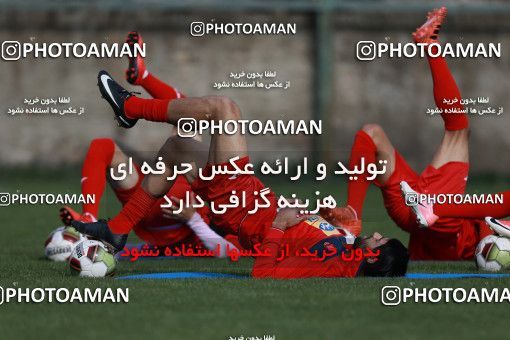 949191, Tehran, , Persepolis Football Team Training Session on 2017/11/22 at 