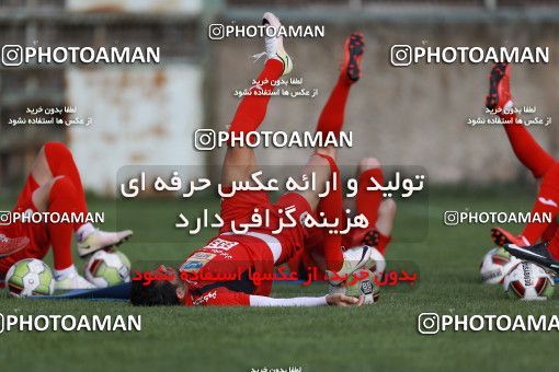949190, Tehran, , Persepolis Football Team Training Session on 2017/11/22 at 