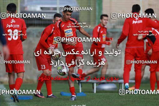 949115, Tehran, , Persepolis Football Team Training Session on 2017/11/22 at 
