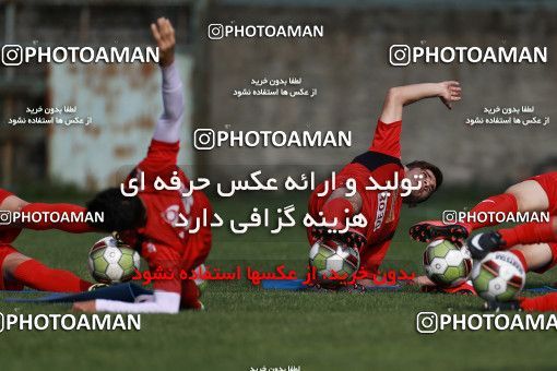 949105, Tehran, , Persepolis Football Team Training Session on 2017/11/22 at 