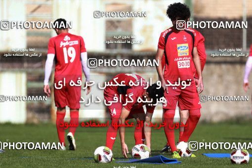 948709, Tehran, , Persepolis Football Team Training Session on 2017/11/22 at 