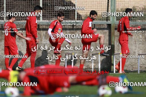 949072, Tehran, , Persepolis Football Team Training Session on 2017/11/22 at 