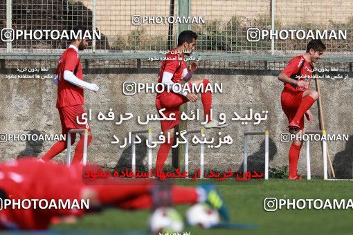 949067, Tehran, , Persepolis Football Team Training Session on 2017/11/22 at 