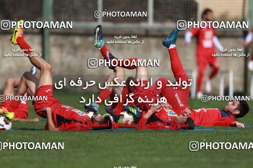 948702, Tehran, , Persepolis Football Team Training Session on 2017/11/22 at 
