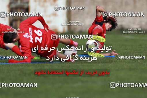 949052, Tehran, , Persepolis Football Team Training Session on 2017/11/22 at 