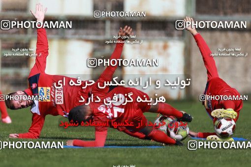 949297, Tehran, , Persepolis Football Team Training Session on 2017/11/22 at 