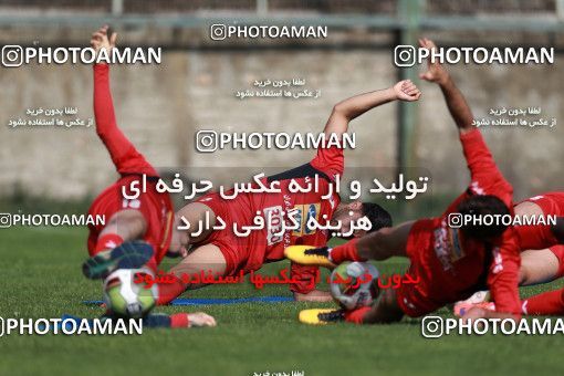 949369, Tehran, , Persepolis Football Team Training Session on 2017/11/22 at 