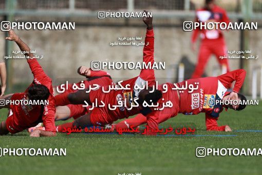 949421, Tehran, , Persepolis Football Team Training Session on 2017/11/22 at 