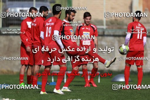 948942, Tehran, , Persepolis Football Team Training Session on 2017/11/22 at 