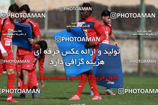 949123, Tehran, , Persepolis Football Team Training Session on 2017/11/22 at 